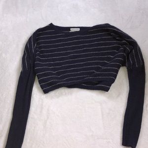 Urban Outfitters Blue and White cropped sweater